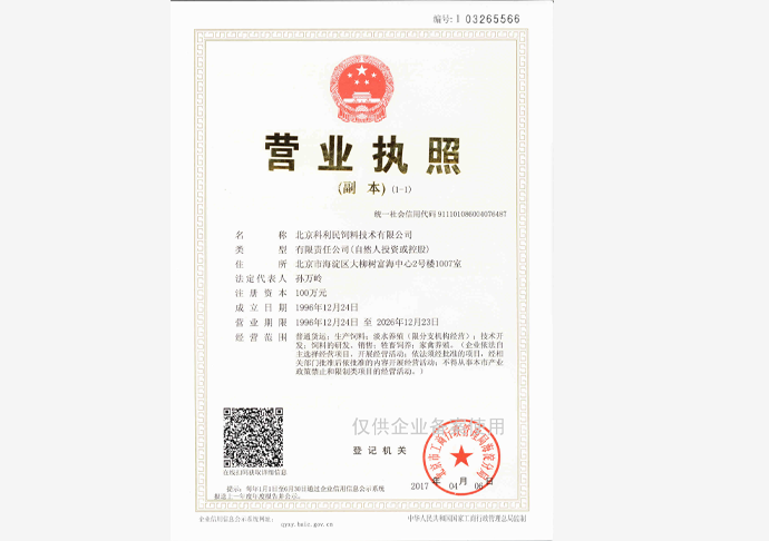 ��ϵ����